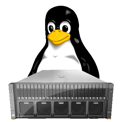 Linux Server setup