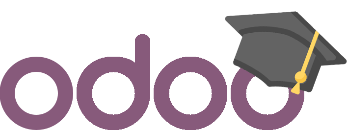 Odoo Functional Course