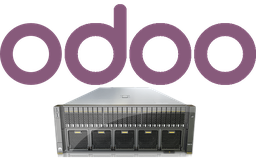 Odoo Hosting 1 Year